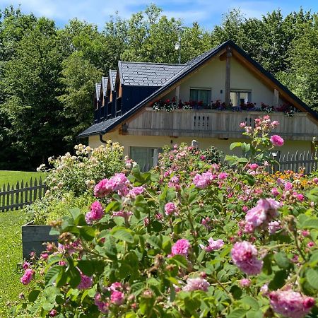 Ferienwohnung Loft Naturalpina Dolomiti Farm Belluno Exterior foto