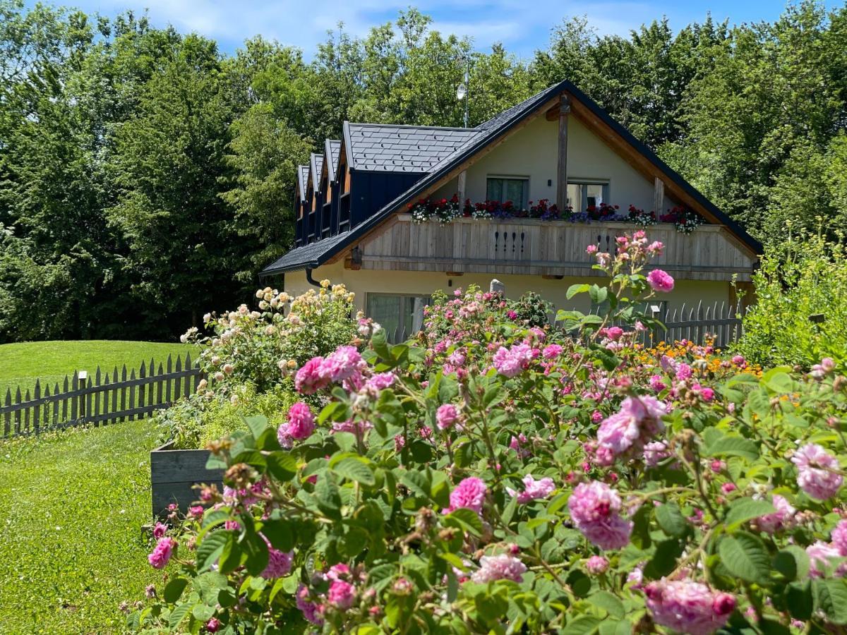 Ferienwohnung Loft Naturalpina Dolomiti Farm Belluno Exterior foto